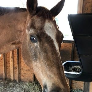 Meet your Posher, Melody